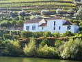 75_balade sur le douro_pinaho